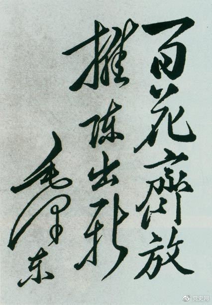 1618284029701310.jpg 4.3.jpg